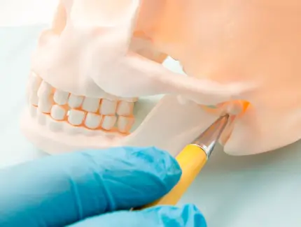 articulacion mandibula